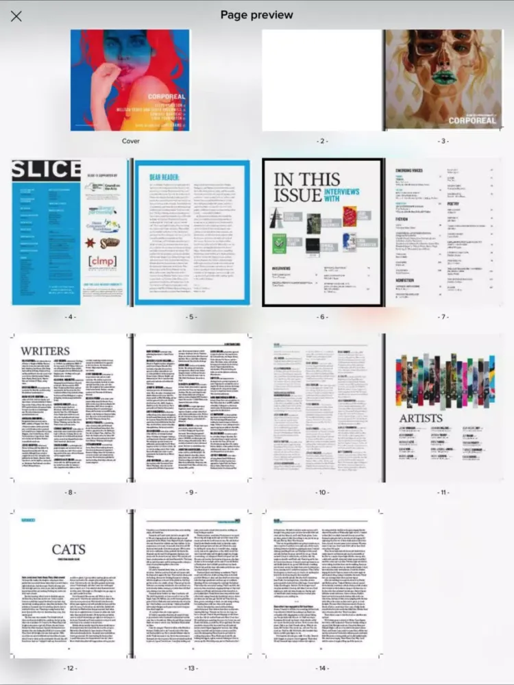 Slice Literary Magazine iPad 應用截圖