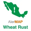 alerMAP Roya Trigo