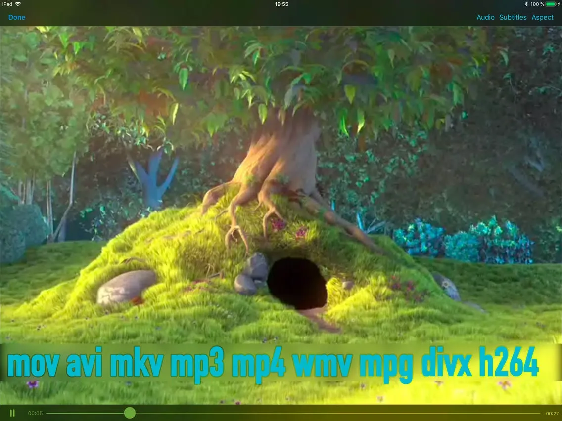 Rigel Video Player iPad 應用截圖