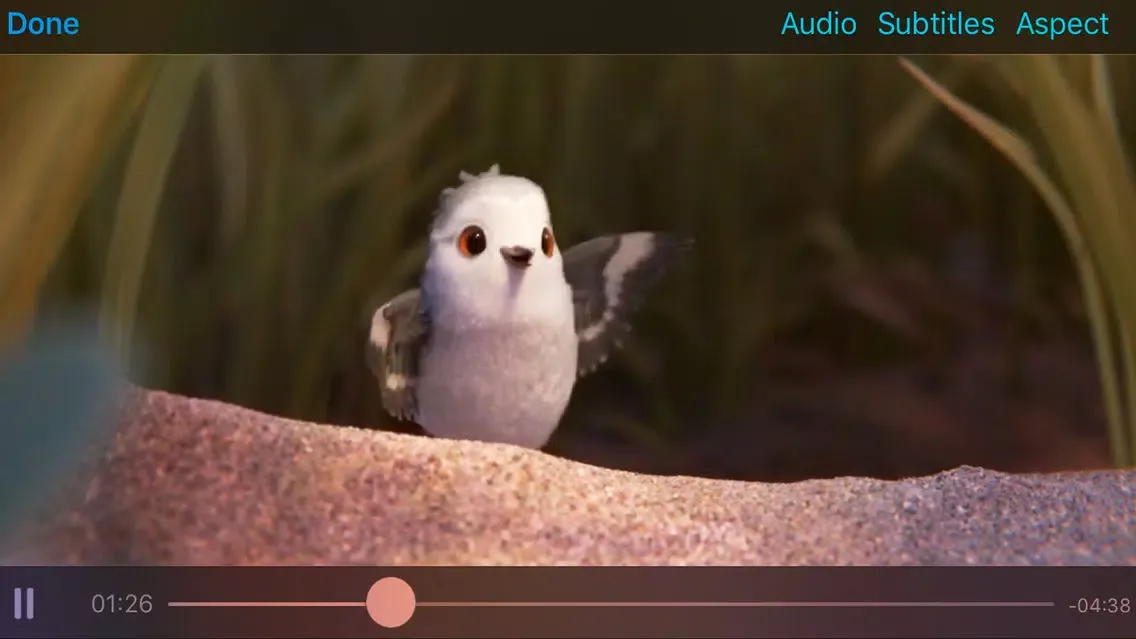 Rigel Video Player應用截圖