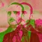 Gil y Carrasco. Ruta romántica