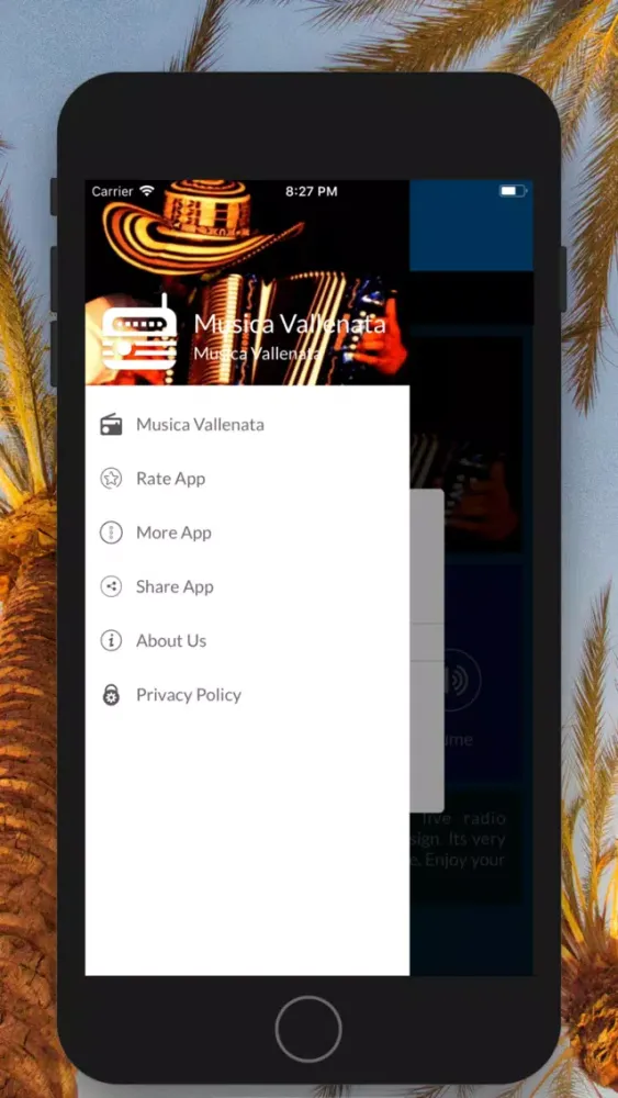 Screenshot di Musica Vallenata
