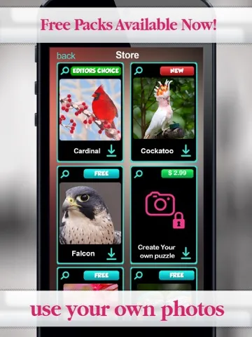 Captures d'écran de Birds Jigsaw Free - Collection Of Unique Puzzle Pics Of Falcons & Penguins iPad 