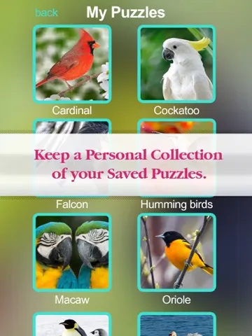 Captures d'écran de Birds Jigsaw Free - Collection Of Unique Puzzle Pics Of Falcons & Penguins iPad 
