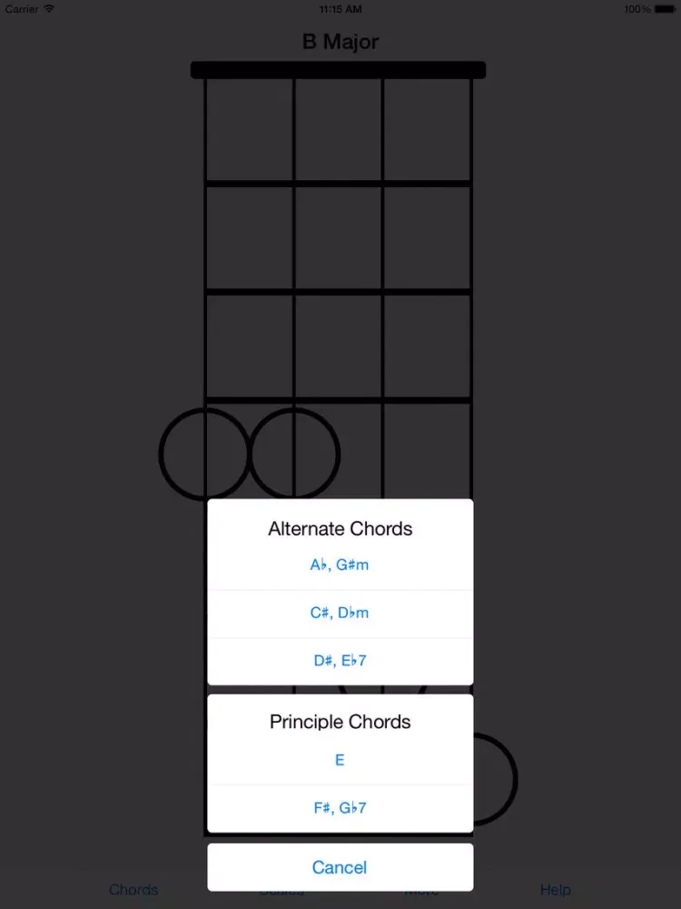 The Good (Mandolin) Book iPad  スクリーンショット