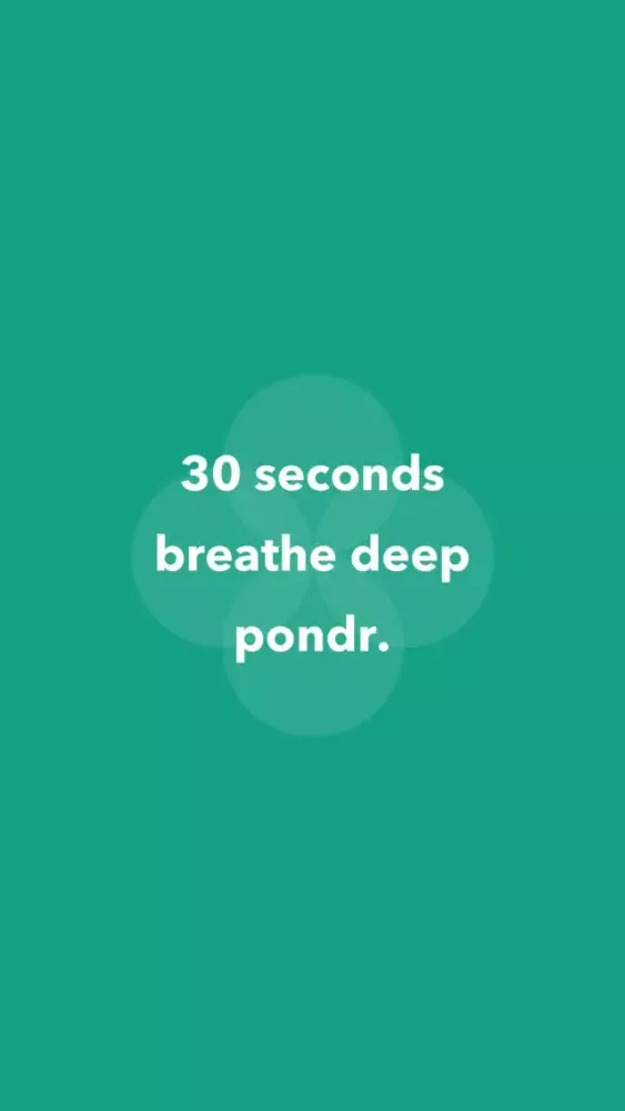 pondr.应用截图