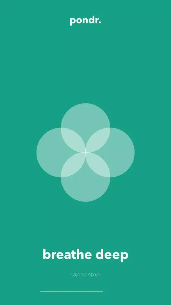 pondr.应用截图