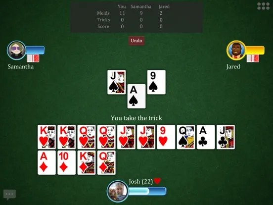 صور Cutthroat Pinochle Online iPad 