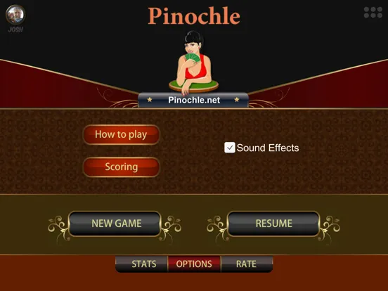 Скриншоты Pinochle.Net iPad 