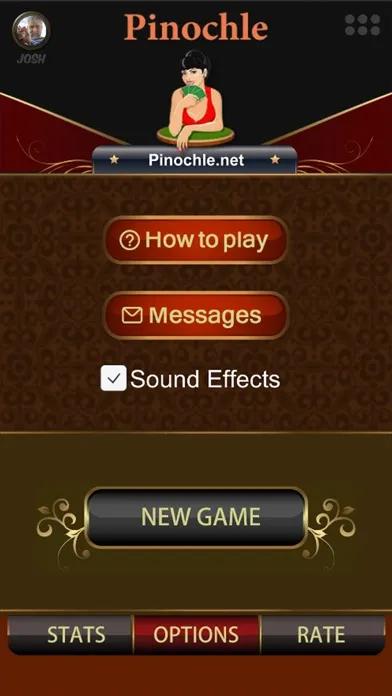 Скриншоты Pinochle.Net