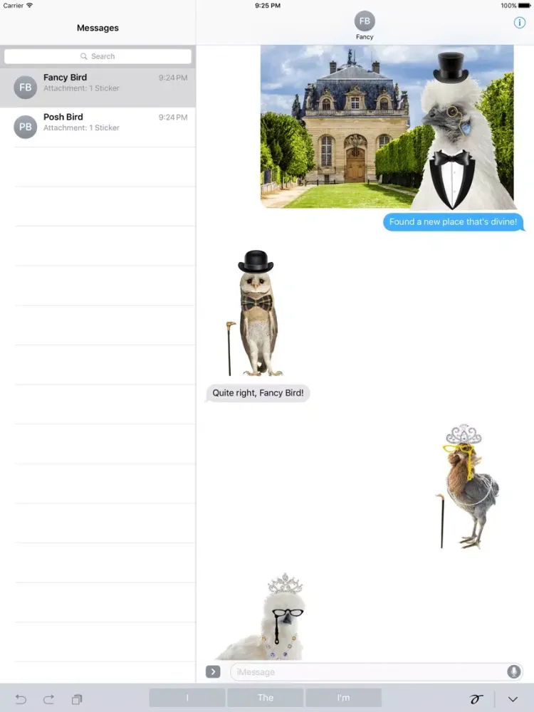 Fancy Birds iPad 应用截图