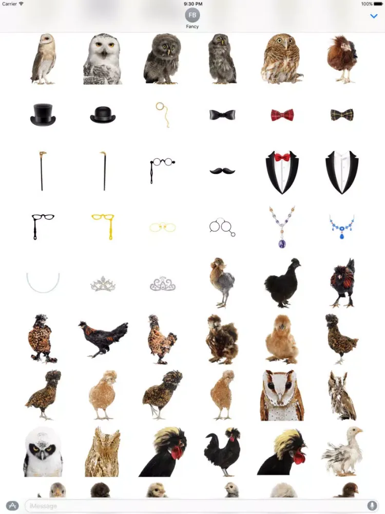 Fancy Birds iPad 应用截图