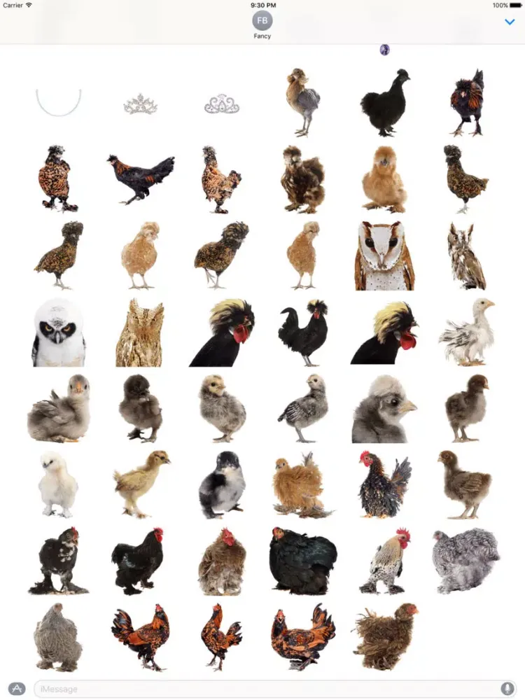 Fancy Birds iPad 应用截图