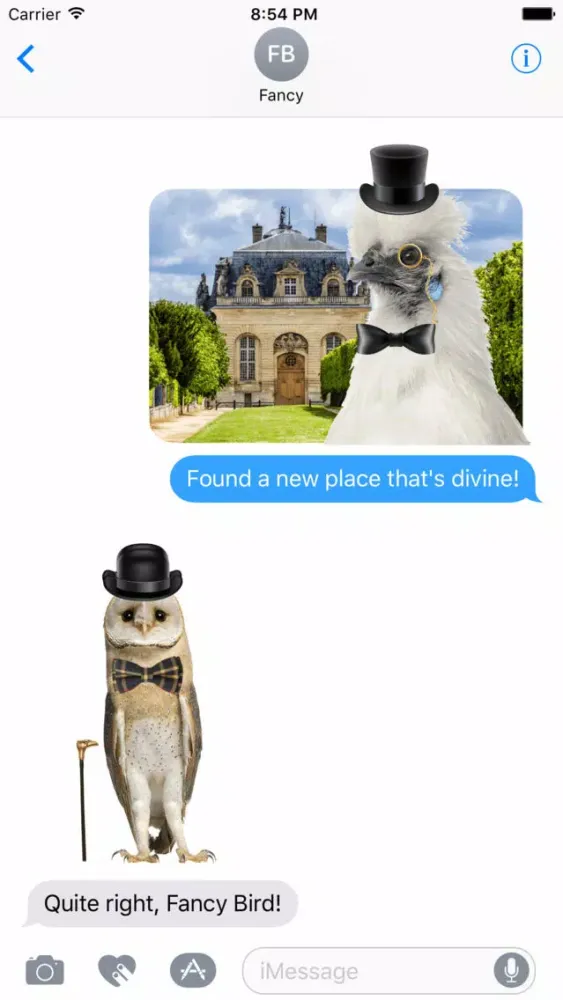 Fancy Birds应用截图
