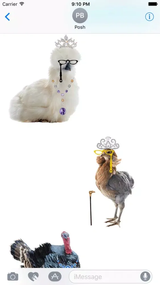 Fancy Birds应用截图