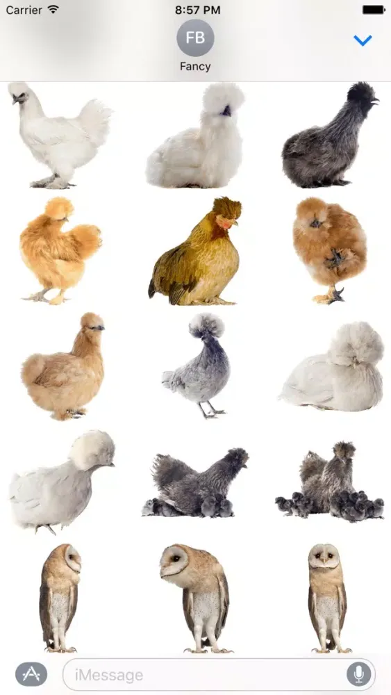 Fancy Birds应用截图