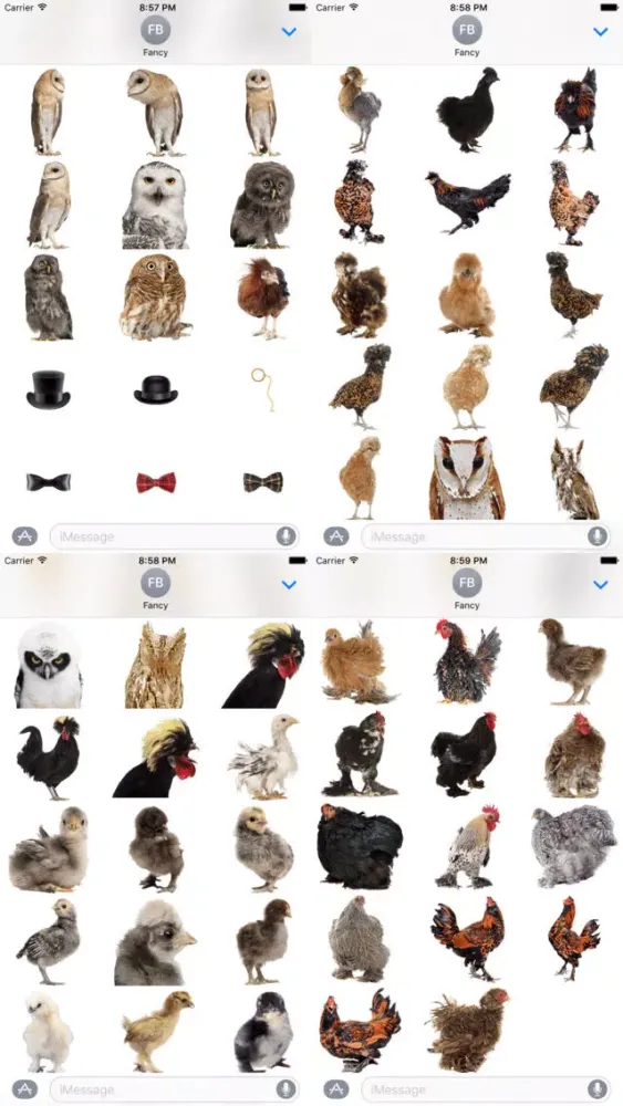 Fancy Birds应用截图