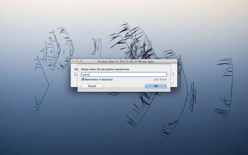 صور Dictate⁺ Decrypter