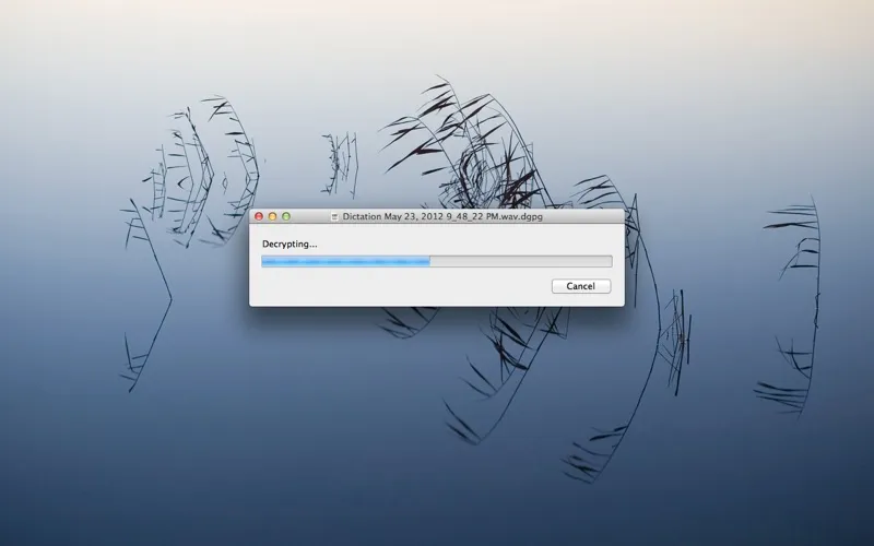 صور Dictate⁺ Decrypter
