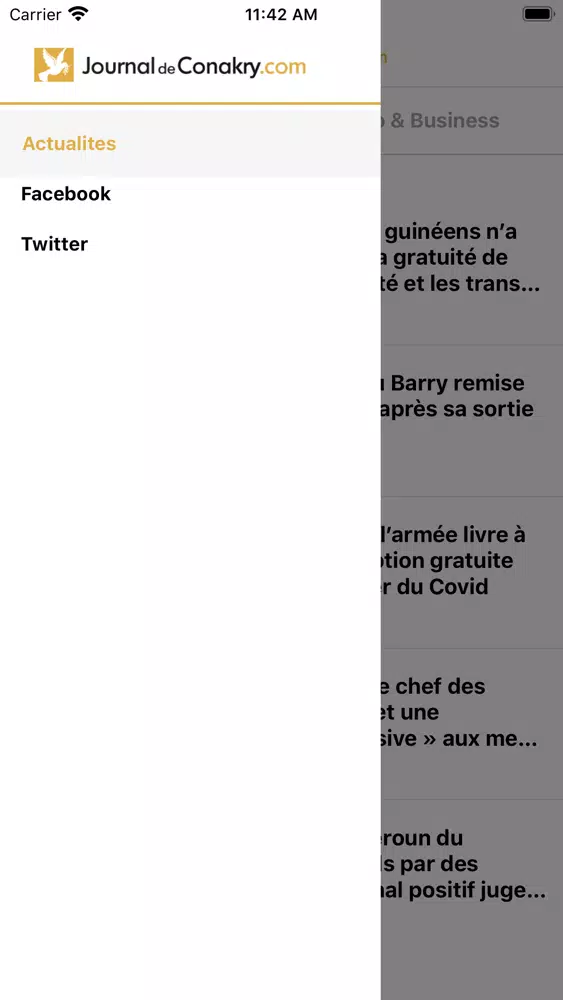 Journal de Conakry应用截图