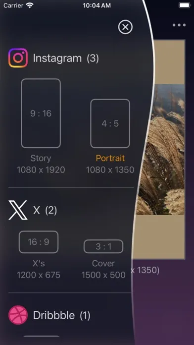 SizeFit : Easy Resize Photo স্ক্রিনশট