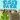 Risky Farm