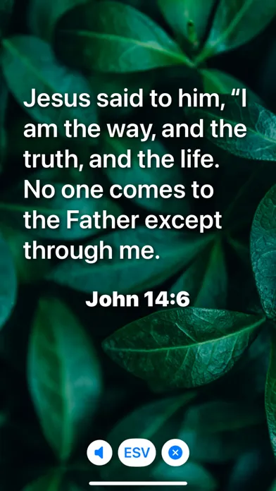 Capturas de tela do Daily Bible Verse + Devotional