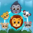 Wildlife Junction
