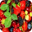 Fruits 4K Wallpaper