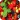 Fruits 4K Wallpaper