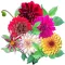 Dahlia Stickers