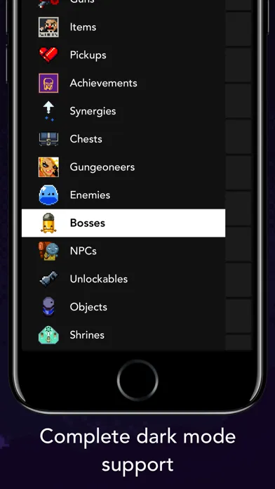 Guide + for Enter the Gungeon Ekran Görüntüleri
