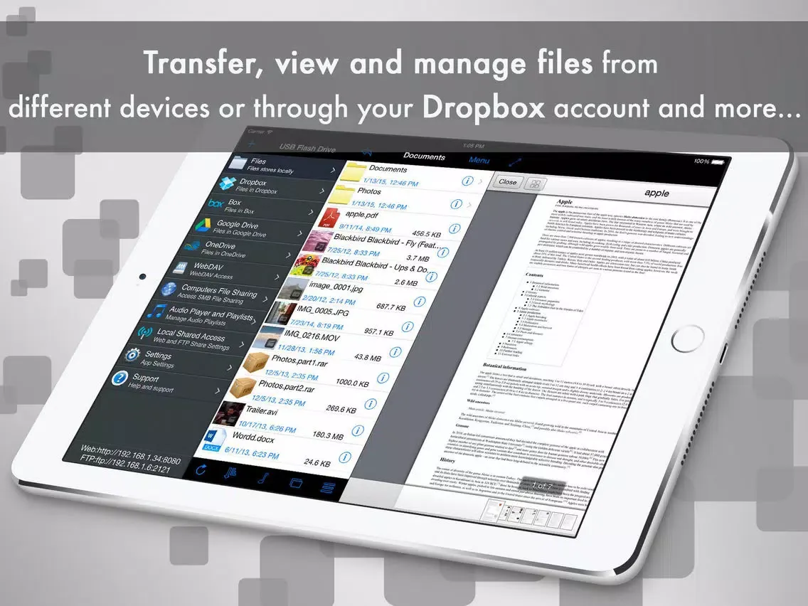 Captures d'écran de USB Flash Drive Lite iPad 