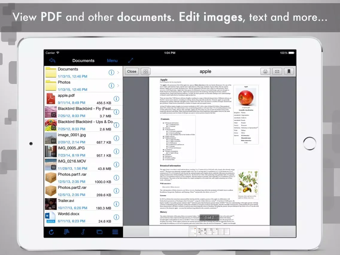 Captures d'écran de USB Flash Drive Lite iPad 