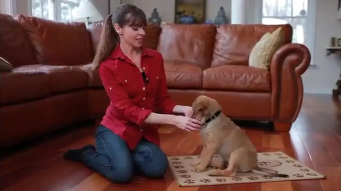 Puppy Training應用截圖