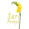 Sarı Frezya