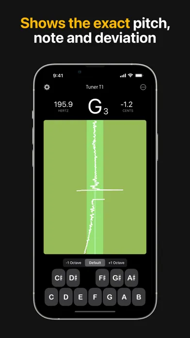 Tangkapan skrin Tuner T1 Pro