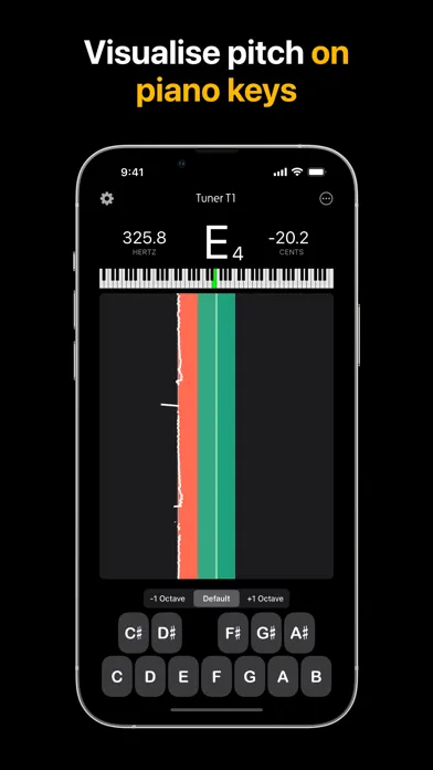 Tangkapan skrin Tuner T1 Pro