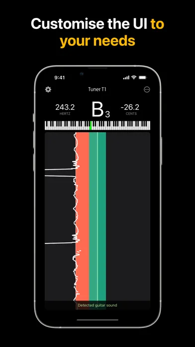 Tangkapan skrin Tuner T1 Pro