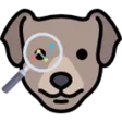 Identify Dog Breeds