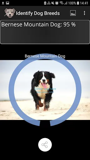 Tangkapan skrin Identify Dog Breeds