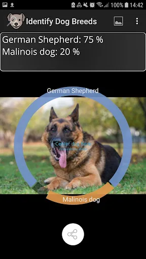 Tangkapan skrin Identify Dog Breeds