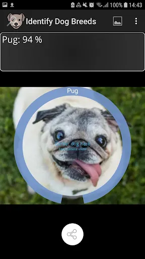 Tangkapan skrin Identify Dog Breeds