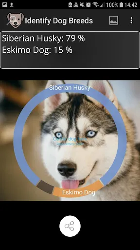 Tangkapan skrin Identify Dog Breeds