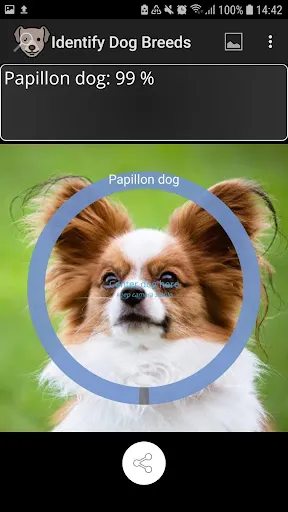 Tangkapan skrin Identify Dog Breeds