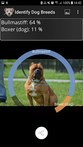 Tangkapan skrin Identify Dog Breeds