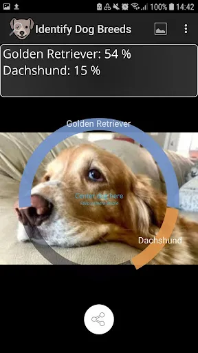 Tangkapan skrin Identify Dog Breeds