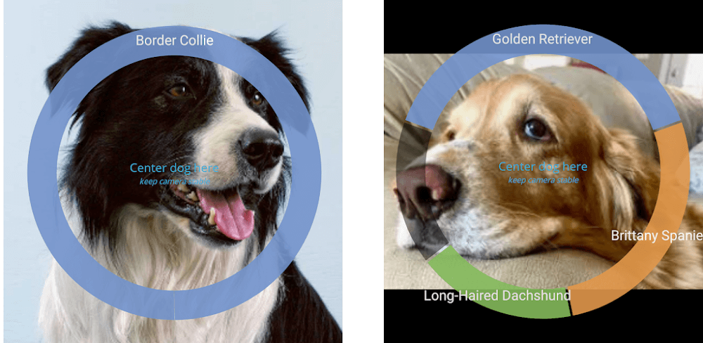 Identify Dog Breeds Pro