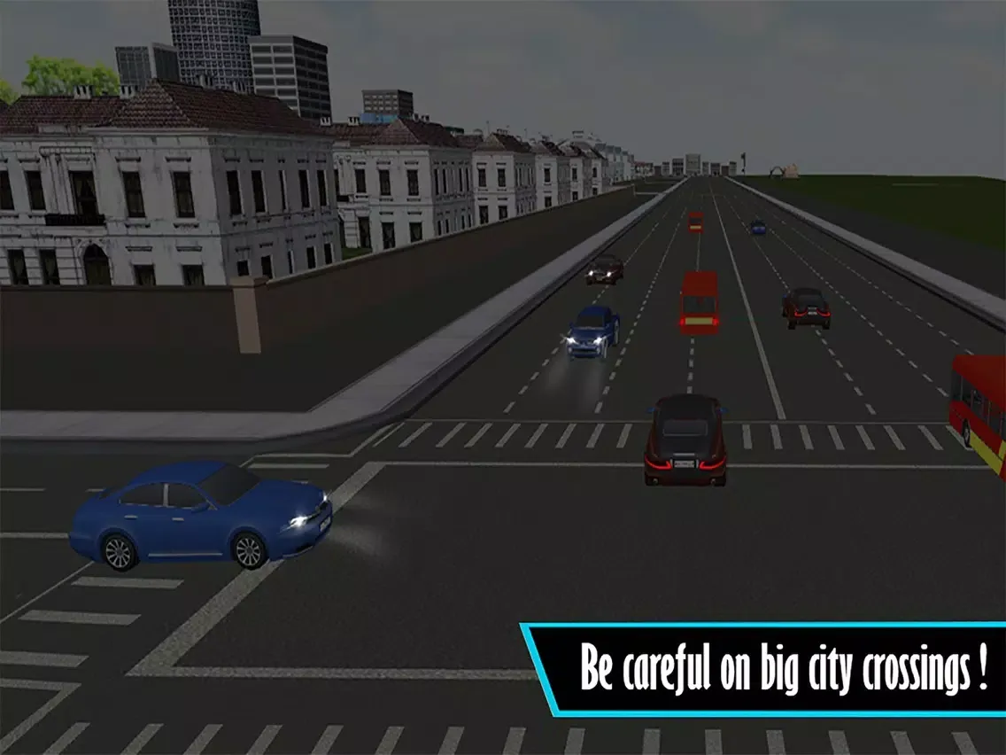 Ảnh chụp màn hình của City Driving School Car Parking Simulator 2016 iPad 