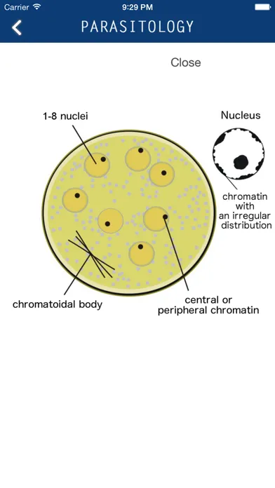 Captures d'écran de Parasitology